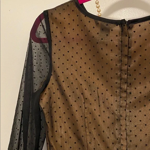 H&M Black and Tan Sheer Dress - Picture 9 of 11